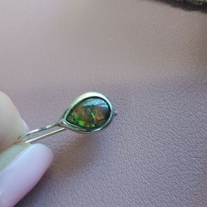 Ammonite earrings.